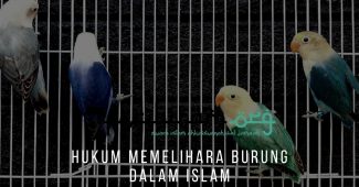 Hukum Memelihara Burung dalam Islam