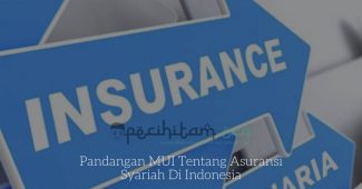 Pandangan MUI Tentang Asuransi Syariah Di Indonesia