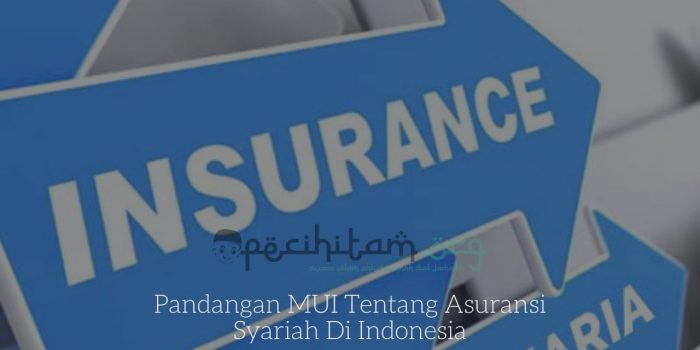 Pandangan MUI Tentang Asuransi Syariah Di Indonesia