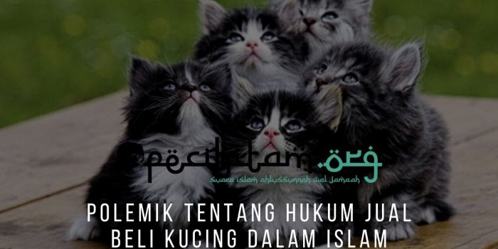 Polemik Tentang Hukum Jual Beli Kucing Dalam Islam