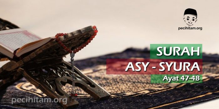 Surah Asy-Syura Ayat 47-48