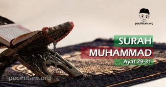 Surah Muhammad Ayat 29-31